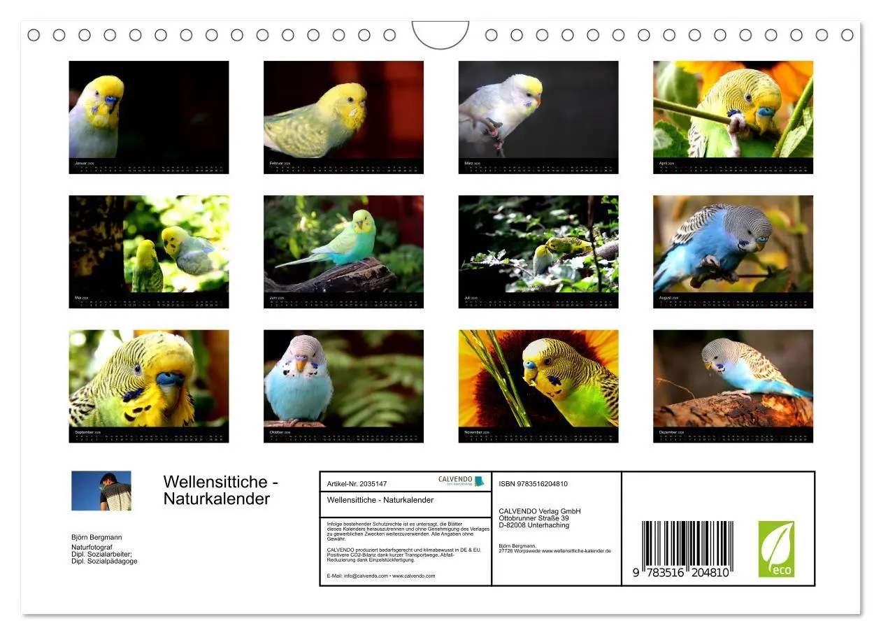 Bild: 9783516204810 | Wellensittiche - Naturkalender (Wandkalender 2026 DIN A4 quer),...