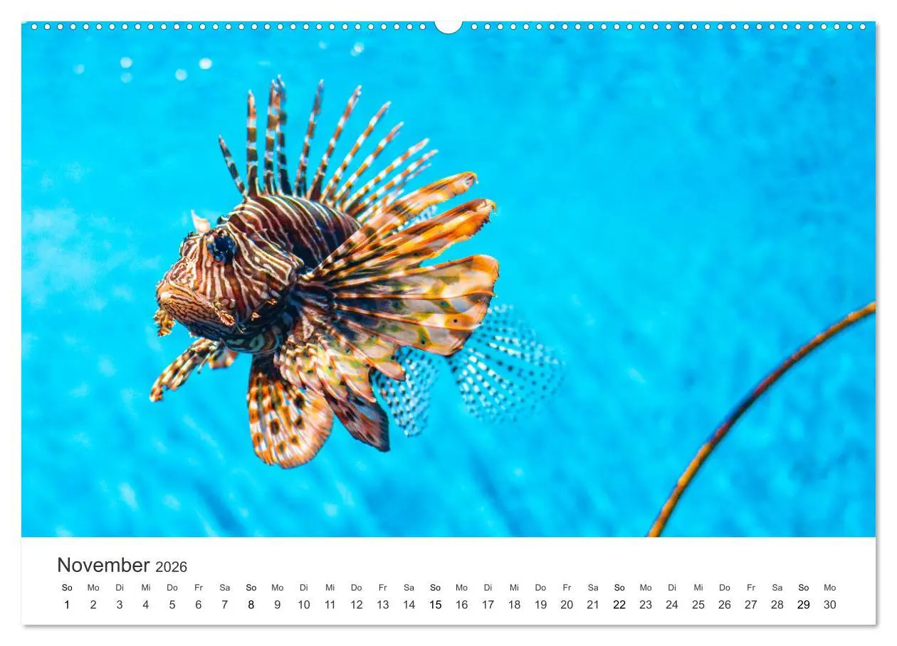Bild: 9783457654910 | Traumhaftes Mauritius (Wandkalender 2026 DIN A2 quer), CALVENDO...