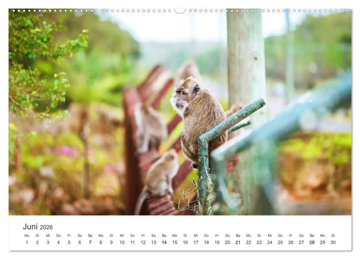 Bild: 9783457654910 | Traumhaftes Mauritius (Wandkalender 2026 DIN A2 quer), CALVENDO...