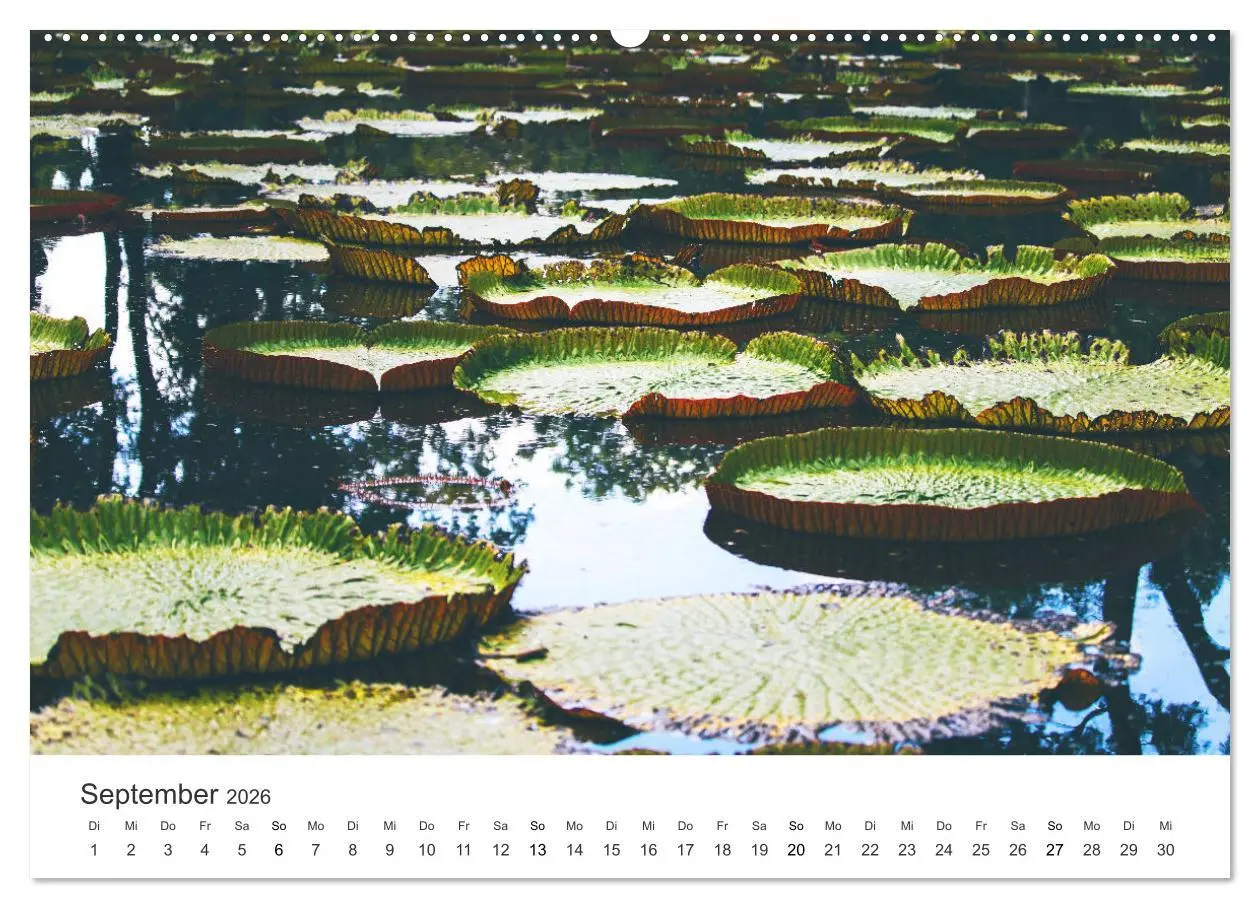 Bild: 9783457654910 | Traumhaftes Mauritius (Wandkalender 2026 DIN A2 quer), CALVENDO...