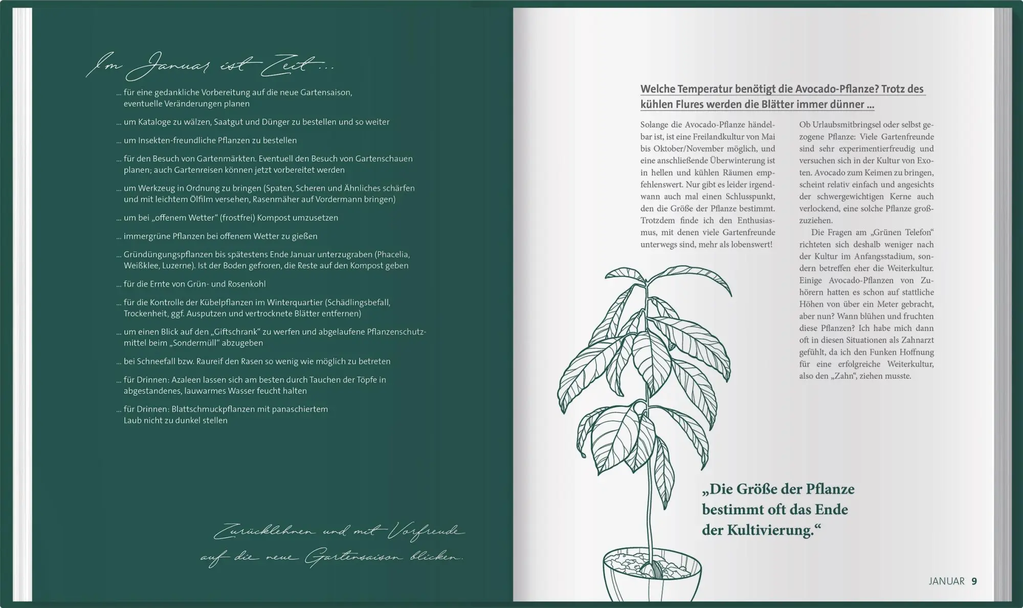 Bild: 9783784354910 | mdr Garten - Das grüne Telefon | Claudia Look-Hirnschal (u. a.) | Buch