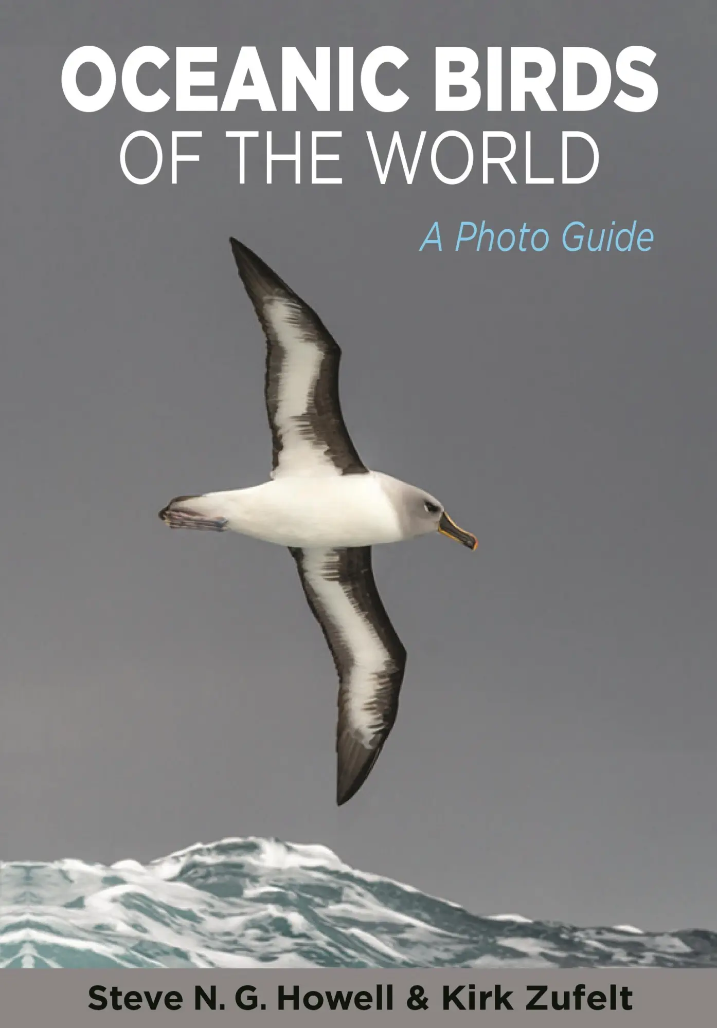 Cover: 9780691175010 | Oceanic Birds of the World | A Photo Guide | Howell (u. a.) | Buch Cover: 9780691175010 | Oceanic Birds of the World | A Photo Guide | Howell (u. a.) | Buch
