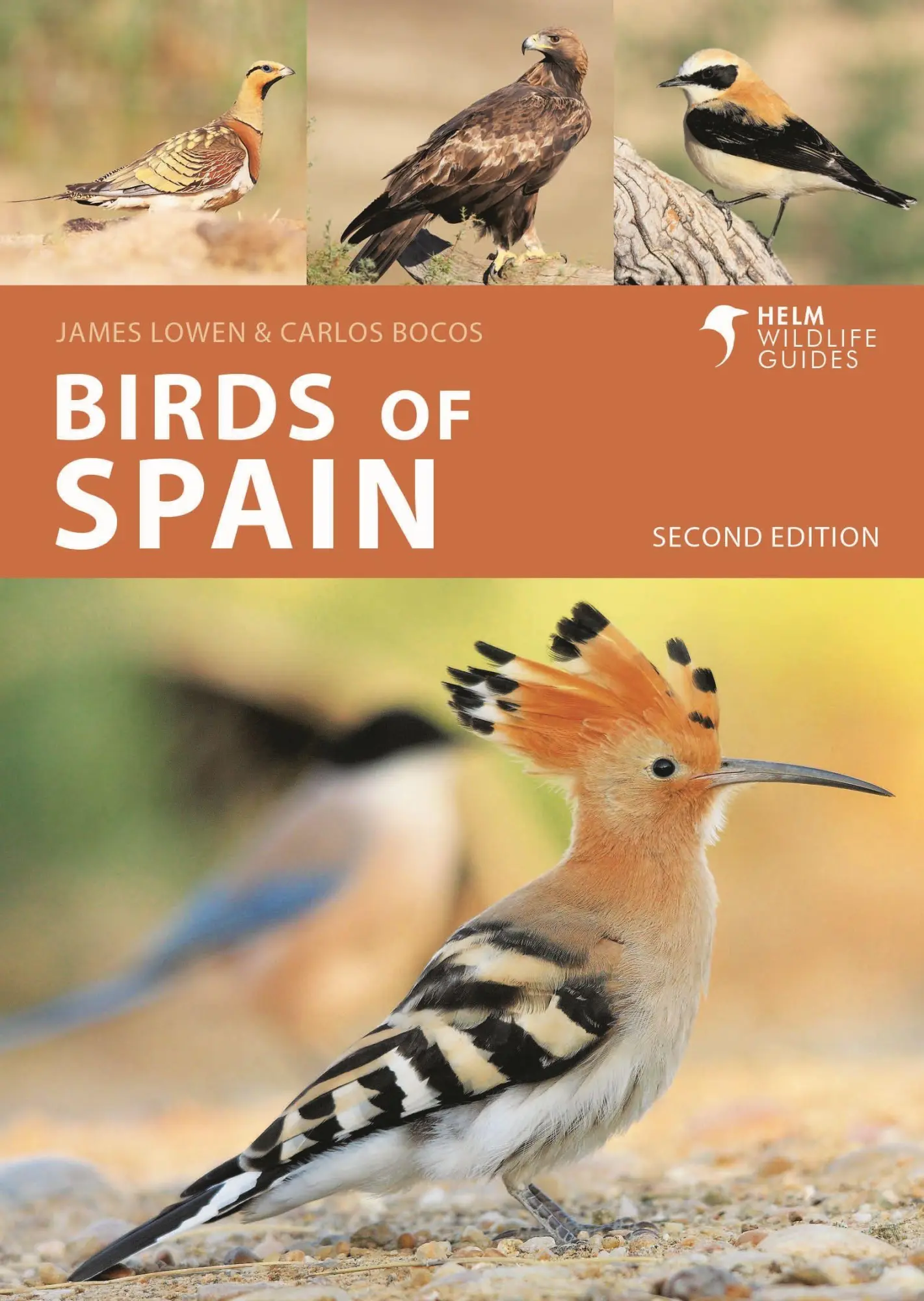 Cover: 9781399405010 | Birds of Spain | Carlos Bocos Gonzalez (u. a.) | Taschenbuch | 2024