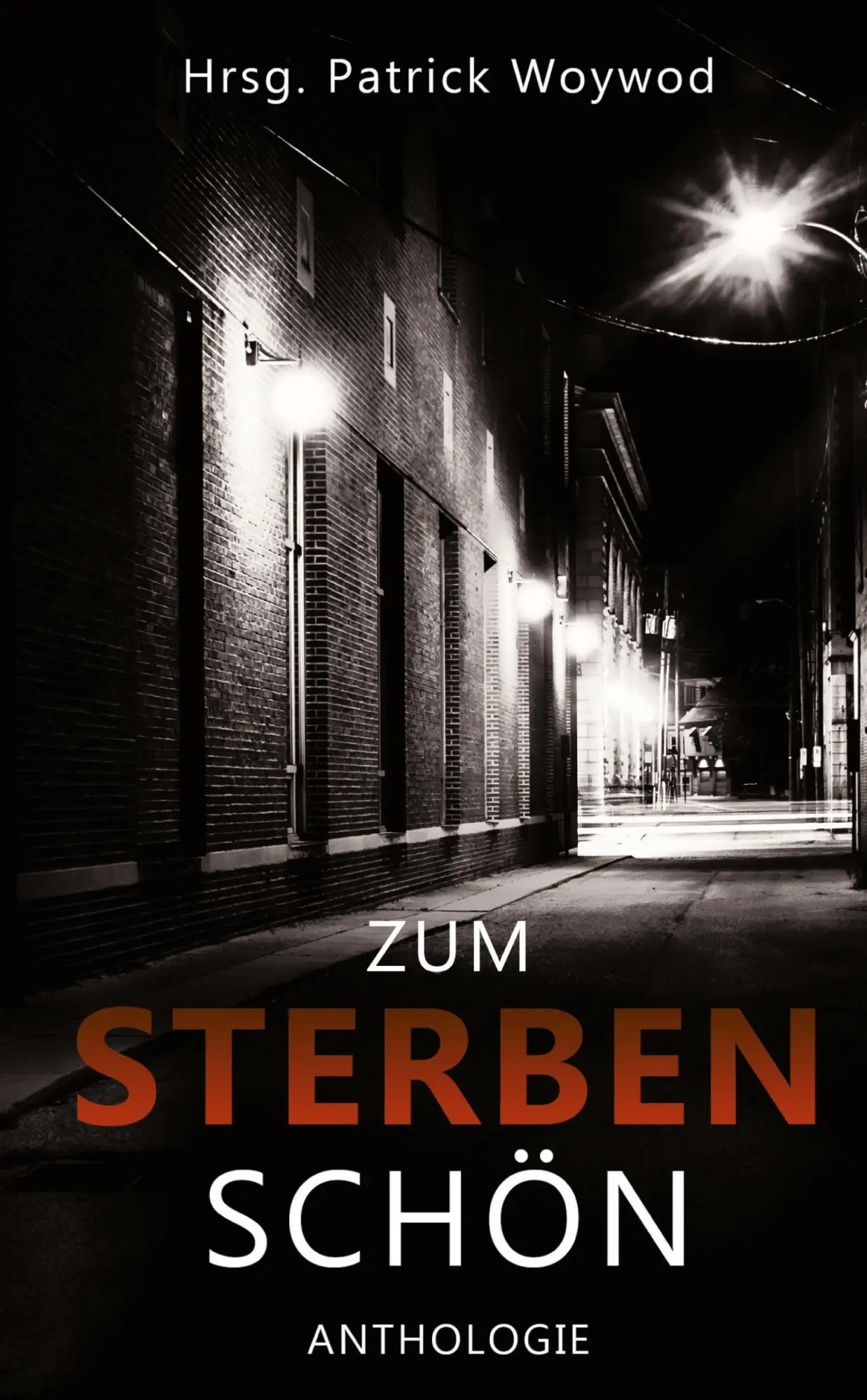 Cover: 9783384355010 | Zum Sterben schön | 36 Kurzgeschichten | Carola Christiansen (u. a.)
