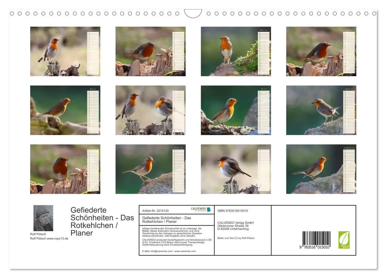 Bild: 9783516015010 | Gefiederte Schönheiten - Das Rotkehlchen / Planer (Wandkalender...