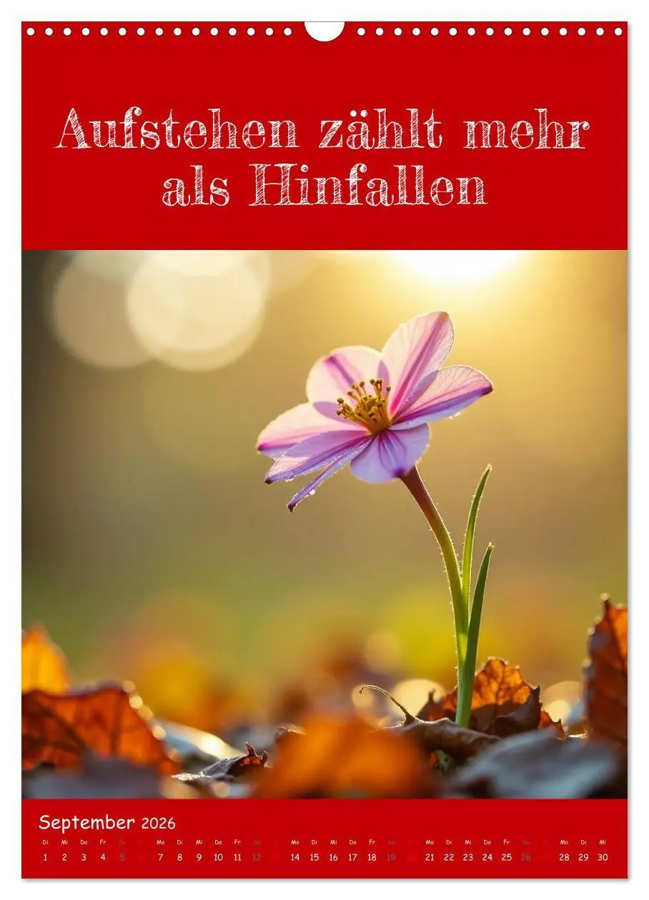 Bild: 9783516705010 | Positiv denken - Kalender für mehr Selbstvertrauen (Wandkalender...