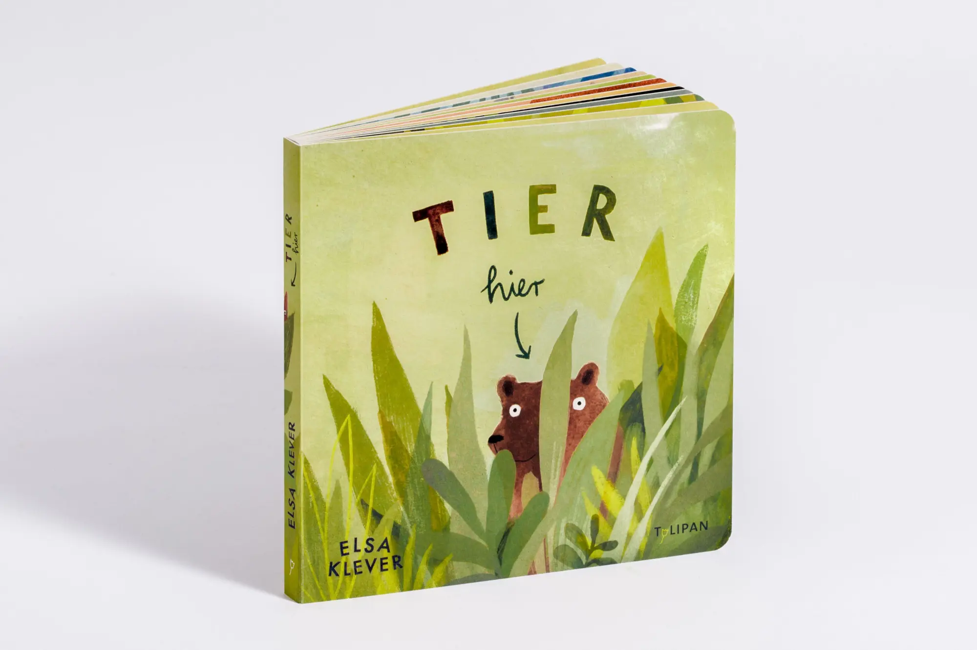Bild: 9783864295010 | Tier hier | Elsa Klever | Buch | 24 S. | Deutsch | 2021 | TULIPAN