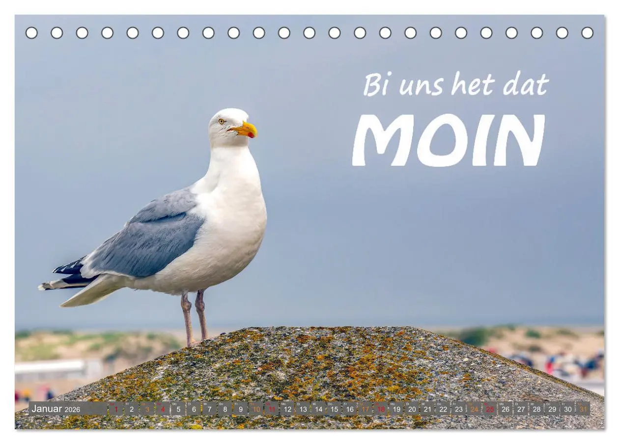 Bild: 9783457535110 | De Sprökje Kalenner "We proten platt" (Tischkalender 2026 DIN A5...