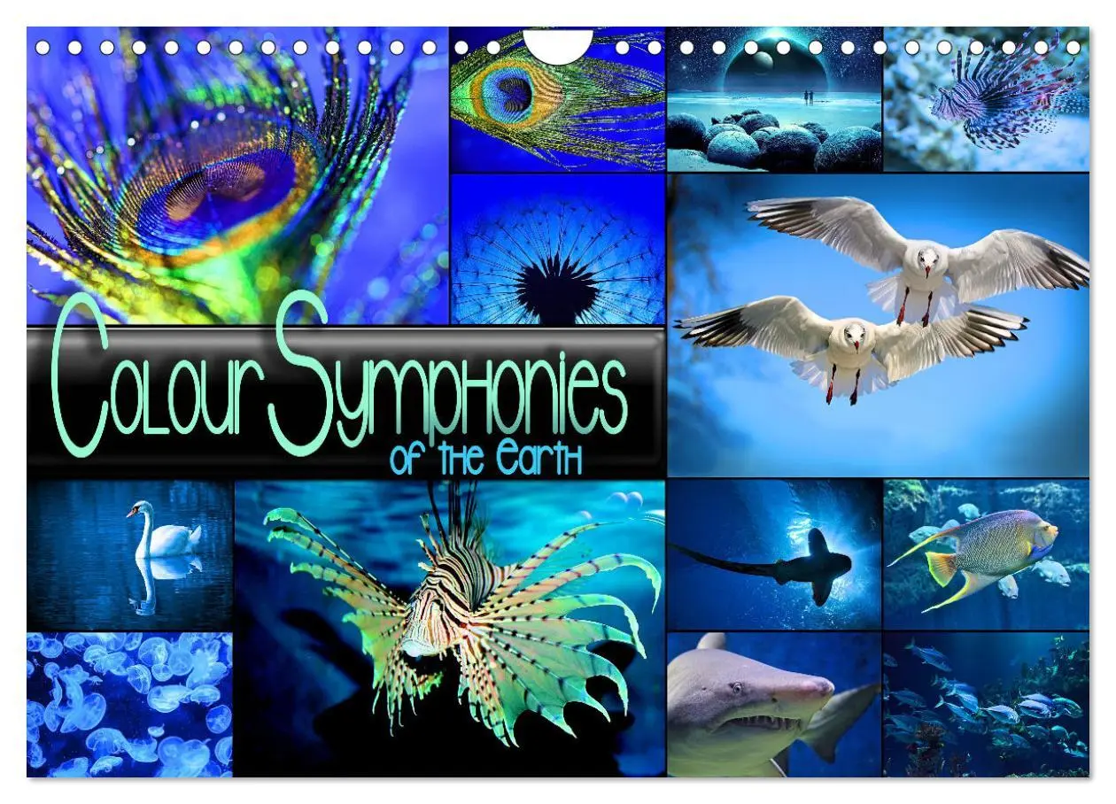 Cover: 9783516555110 | Colour Symphonies of the Earth (Wall Calendar 2026 DIN A4...