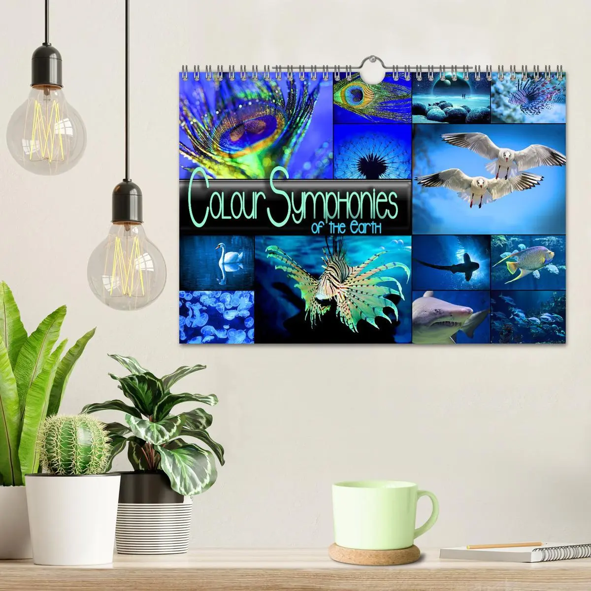 Bild: 9783516555110 | Colour Symphonies of the Earth (Wall Calendar 2026 DIN A4...