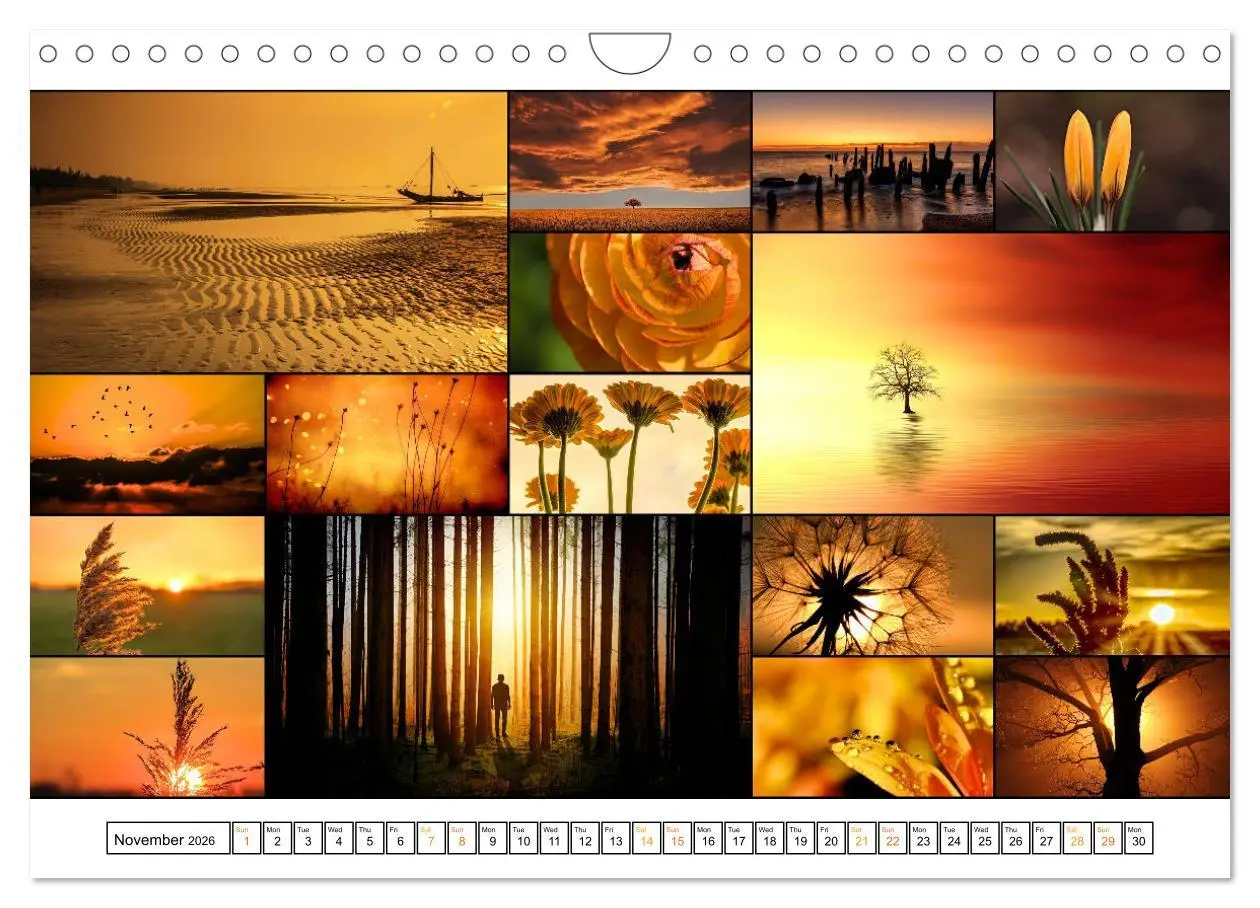 Bild: 9783516555110 | Colour Symphonies of the Earth (Wall Calendar 2026 DIN A4...