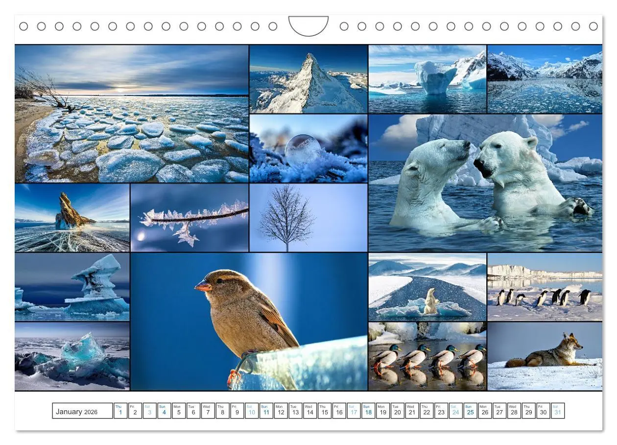 Bild: 9783516555110 | Colour Symphonies of the Earth (Wall Calendar 2026 DIN A4...