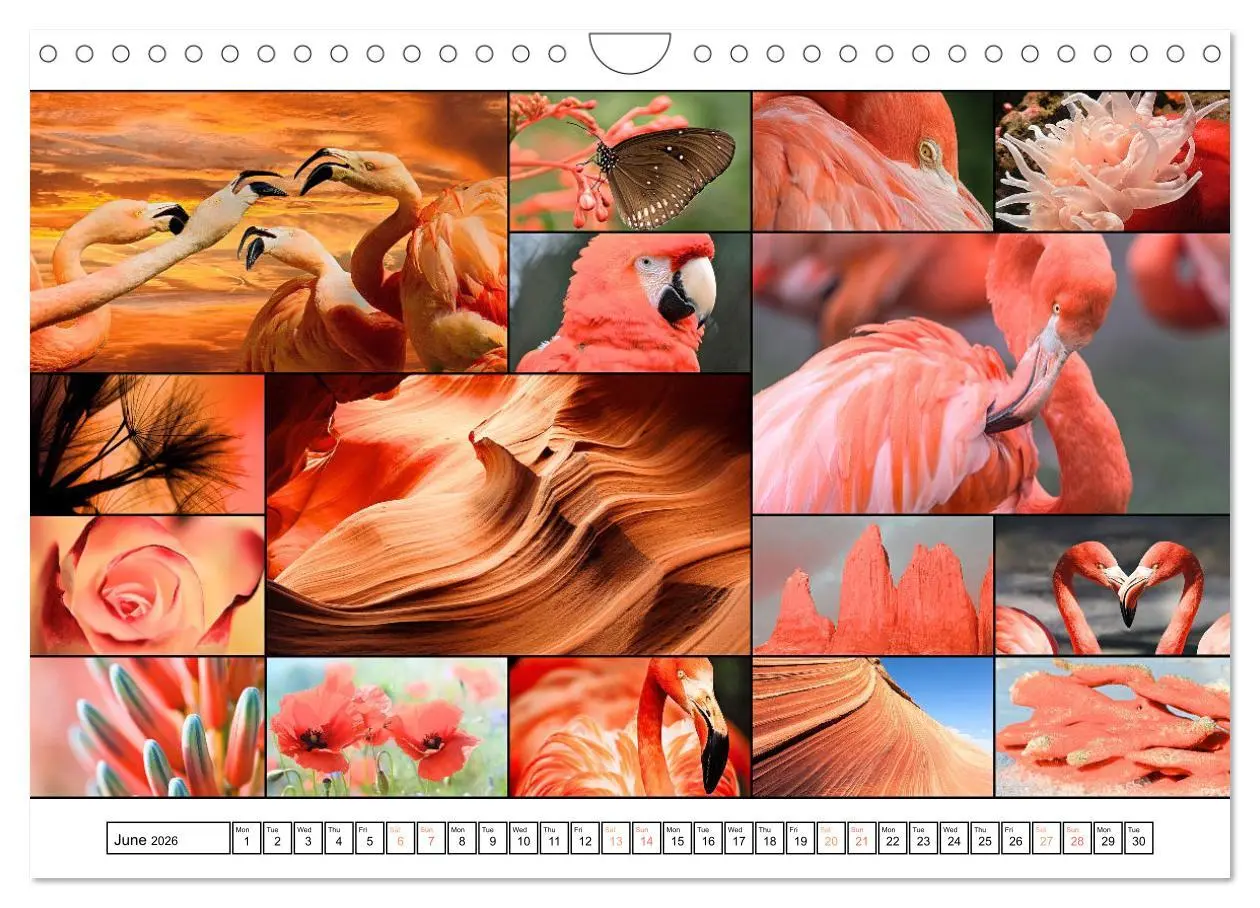 Bild: 9783516555110 | Colour Symphonies of the Earth (Wall Calendar 2026 DIN A4...