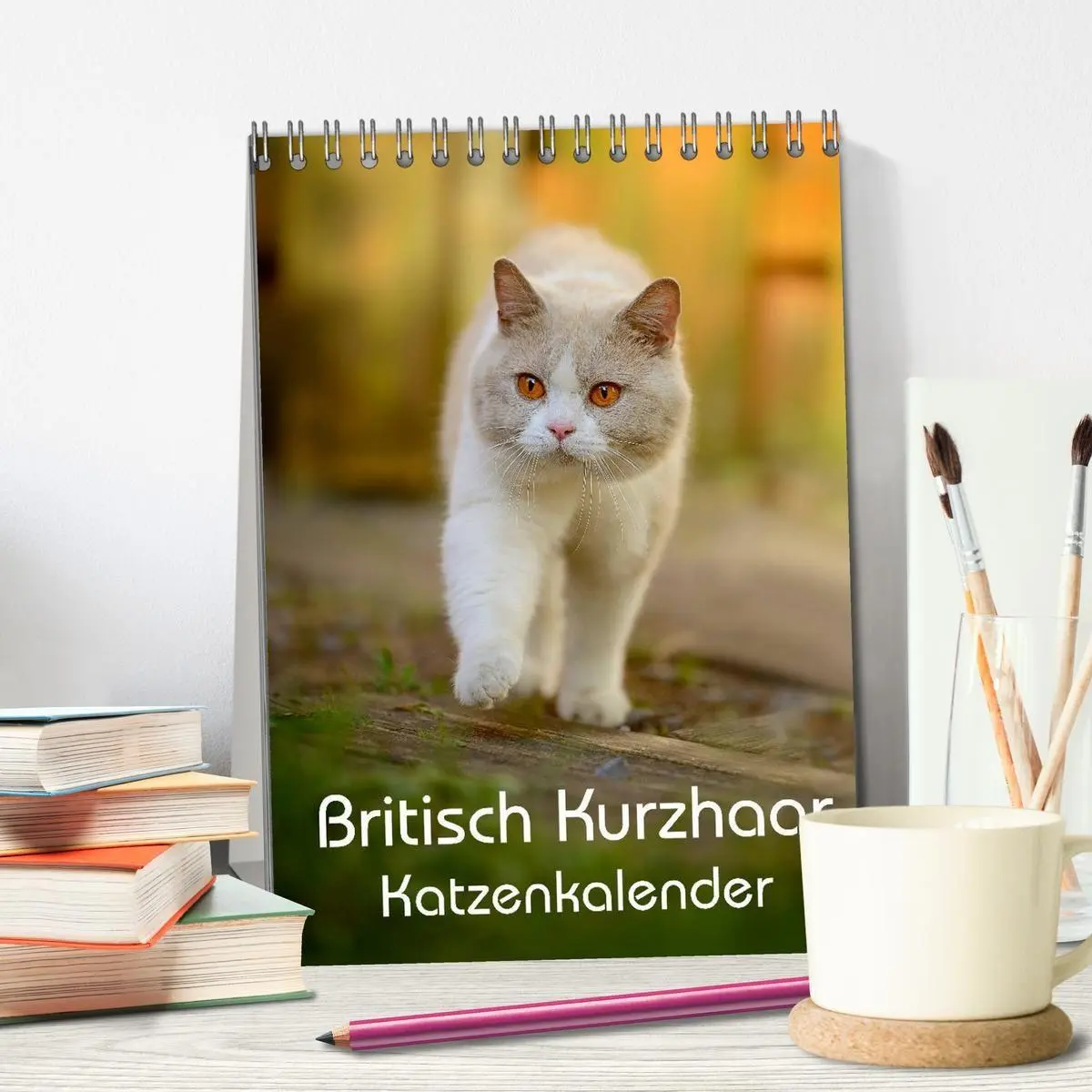 Bild: 9783594155110 | Britisch Kurzhaar Katzenkalender (Tischkalender 2027 DIN A5 hoch),...