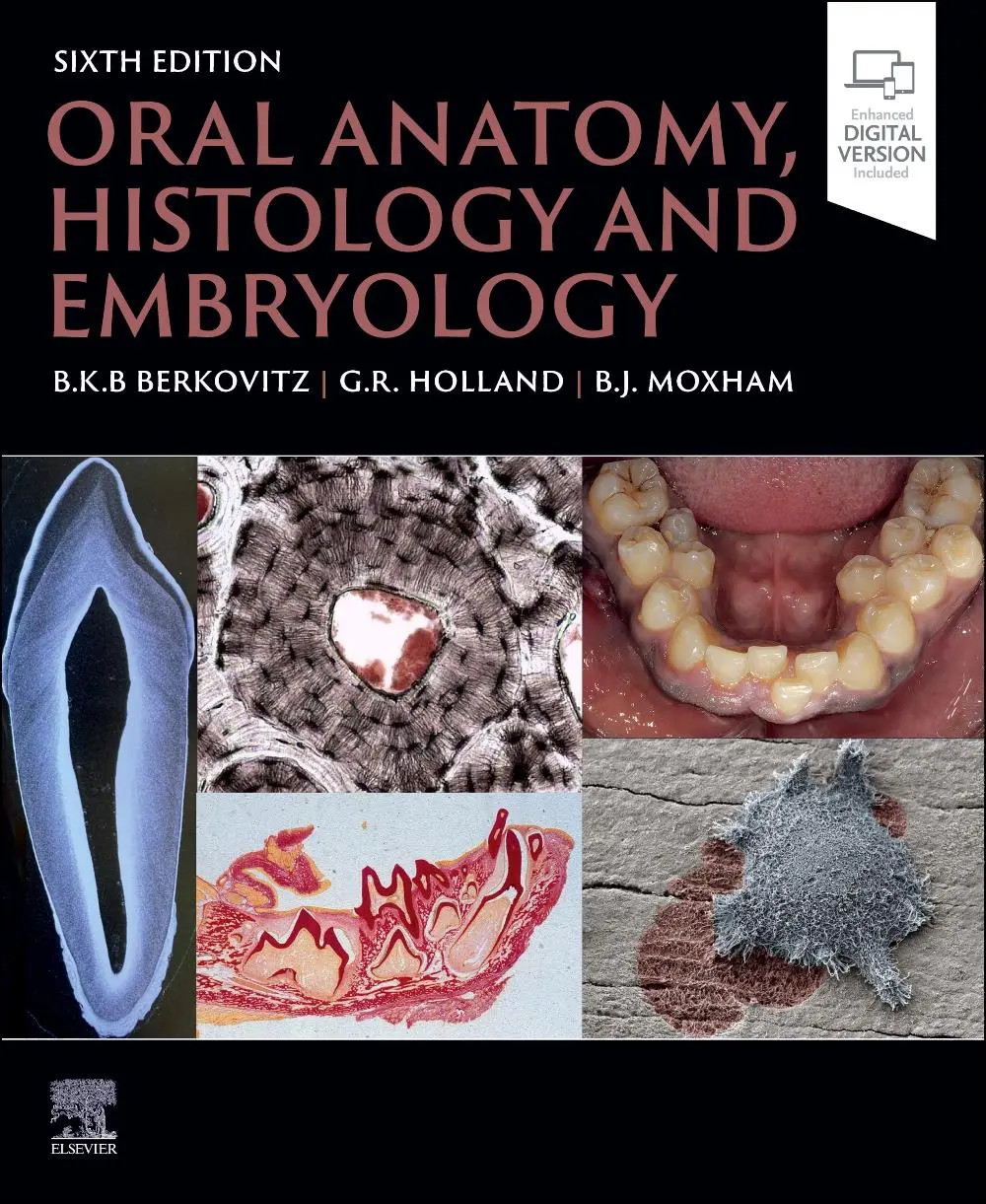 Cover: 9780323935210 | Oral Anatomy, Histology and Embryology | Barry K. B Berkovitz (u. a.)