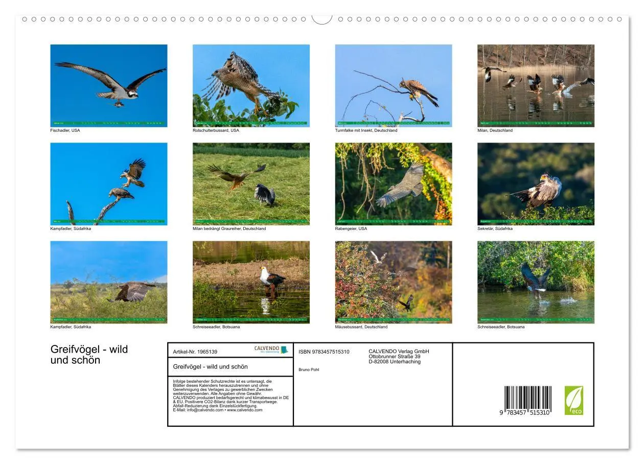 Bild: 9783457515310 | Greifvögel - wild und schön (hochwertiger Premium Wandkalender 2026...