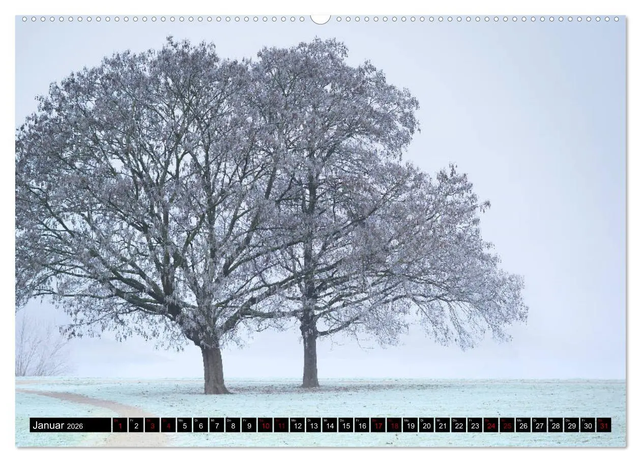Bild: 9783457755310 | Mannheimer Impressionen. (Wandkalender 2026 DIN A2 quer), CALVENDO...