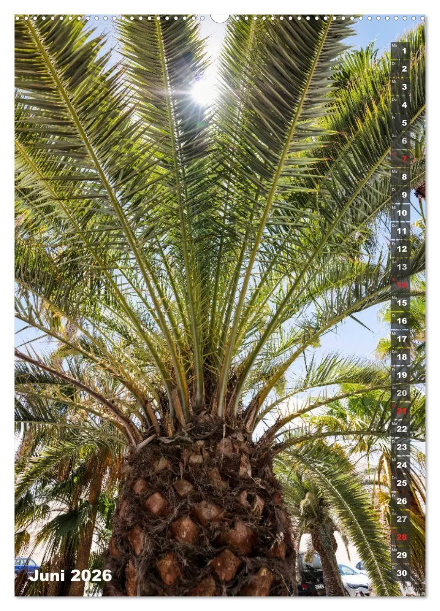 Bild: 9783516395310 | FUERTEVENTURA Südsee-Flair (Wandkalender 2026 DIN A2 hoch),...