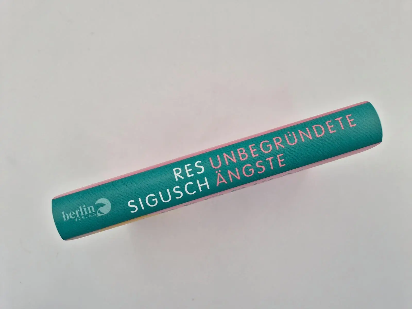 Bild: 9783827015310 | Unbegründete Ängste | Res Sigusch | Buch | 240 S. | Deutsch | 2026