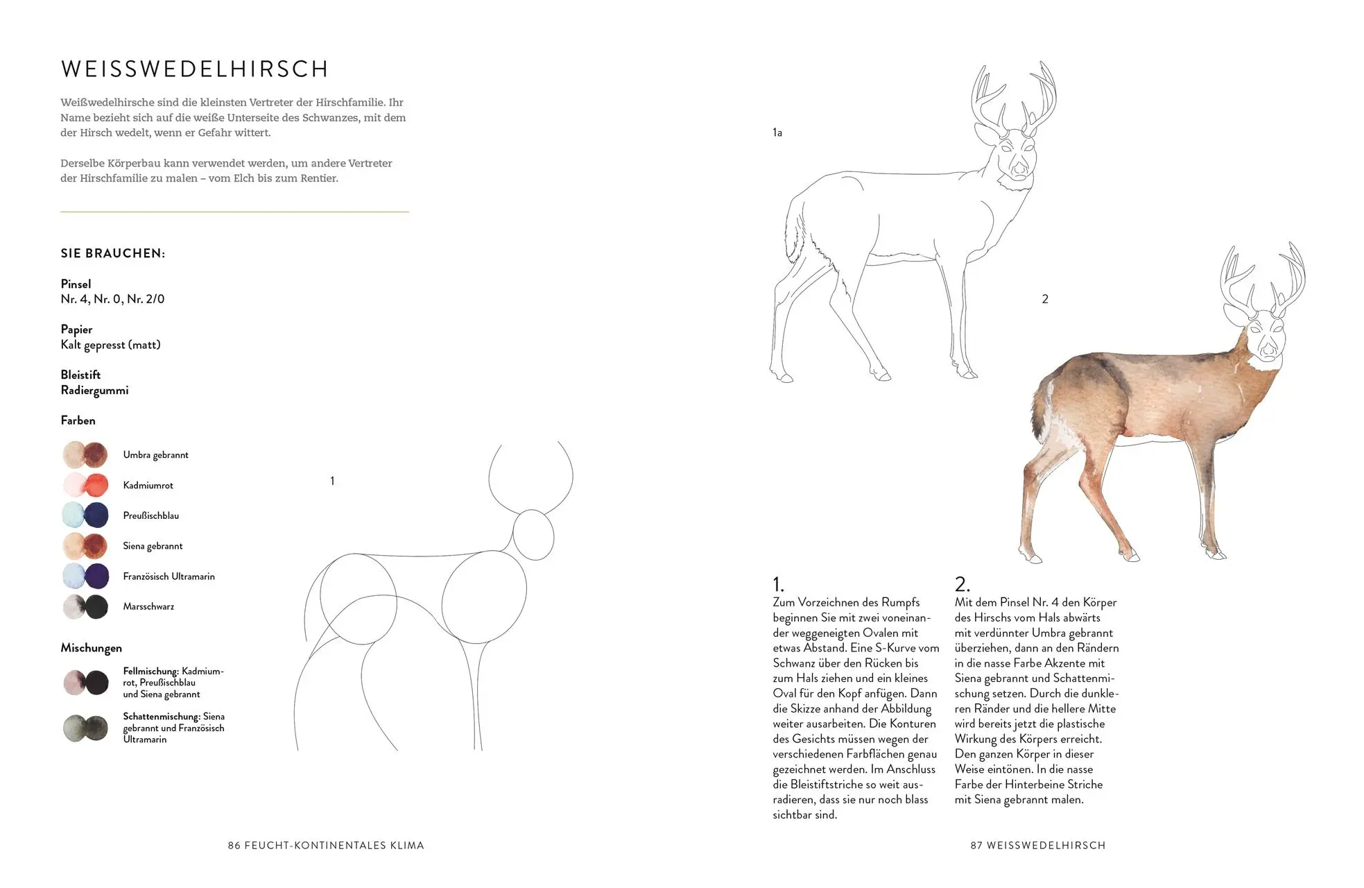 Bild: 9783831045310 | Tiere und Pflanzen malen mit Watercolor | Harriet de Winton | Buch