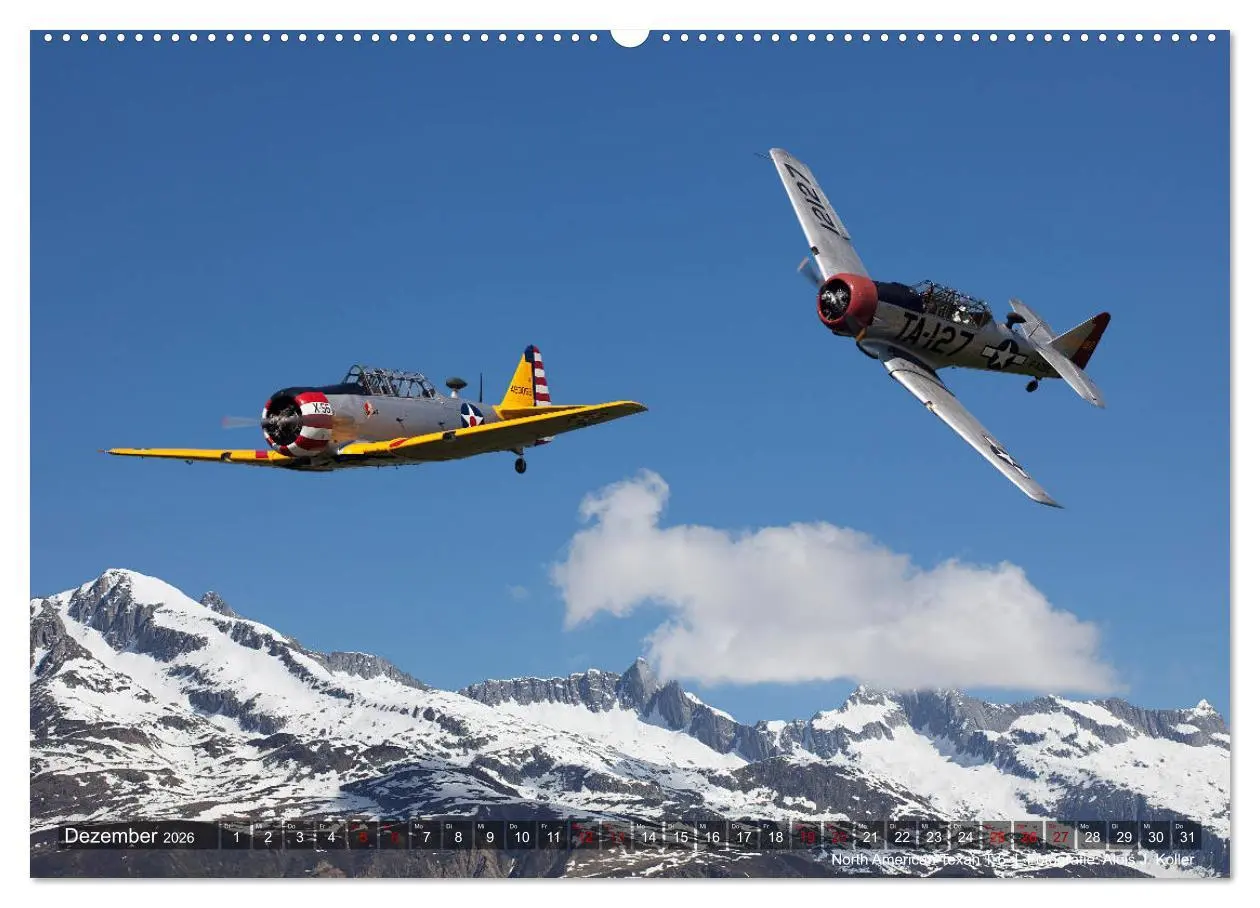 Bild: 9783457675410 | Classic Airplanes (Wandkalender 2026 DIN A2 quer), CALVENDO...