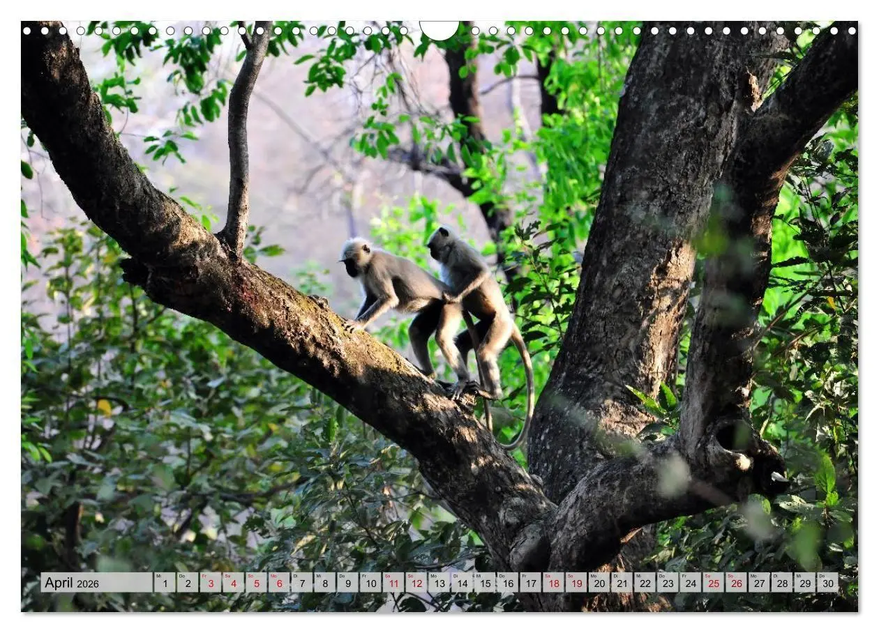 Bild: 9783516695410 | Uttarakhand - Land der Götter (Wandkalender 2026 DIN A3 quer),...