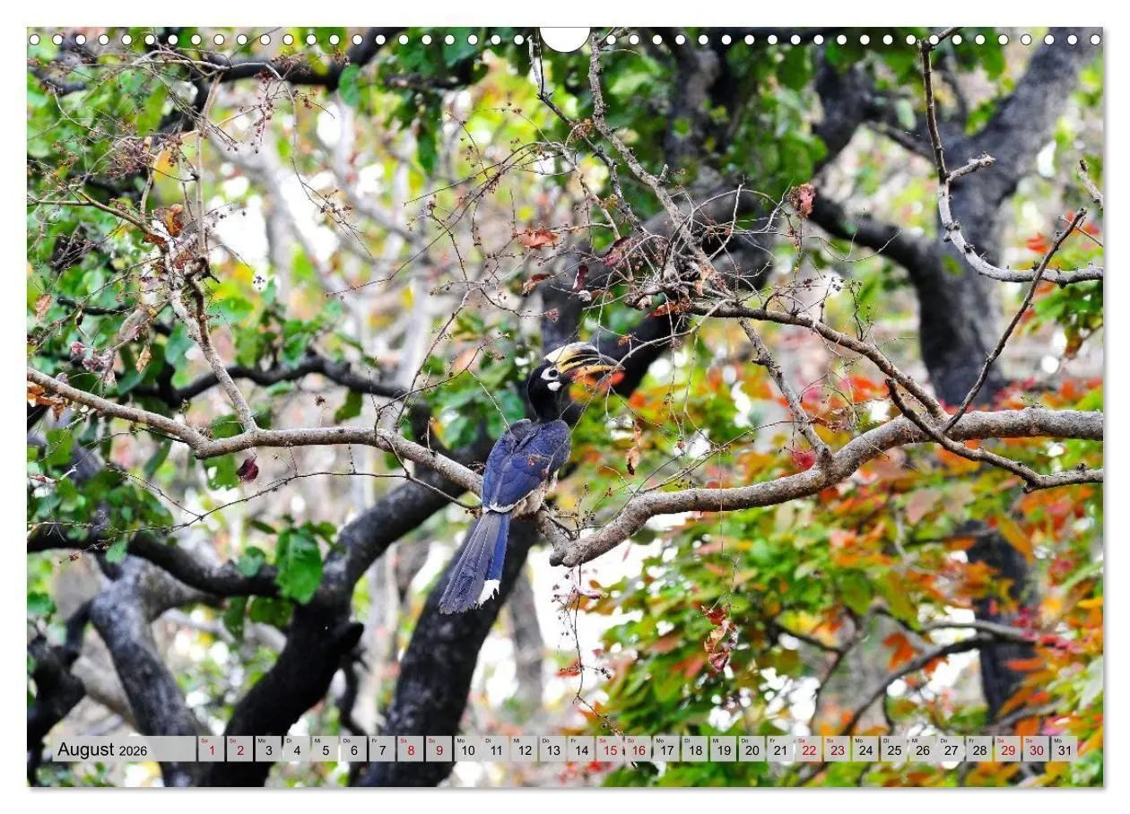 Bild: 9783516695410 | Uttarakhand - Land der Götter (Wandkalender 2026 DIN A3 quer),...