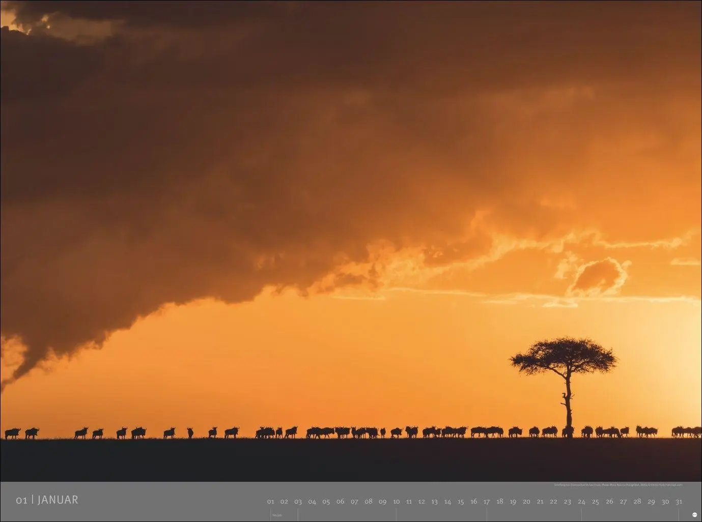 Bild: 9783756415410 | Afrika - Edition Alexander von Humboldt Kalender 2027 | Heye | 15 S.