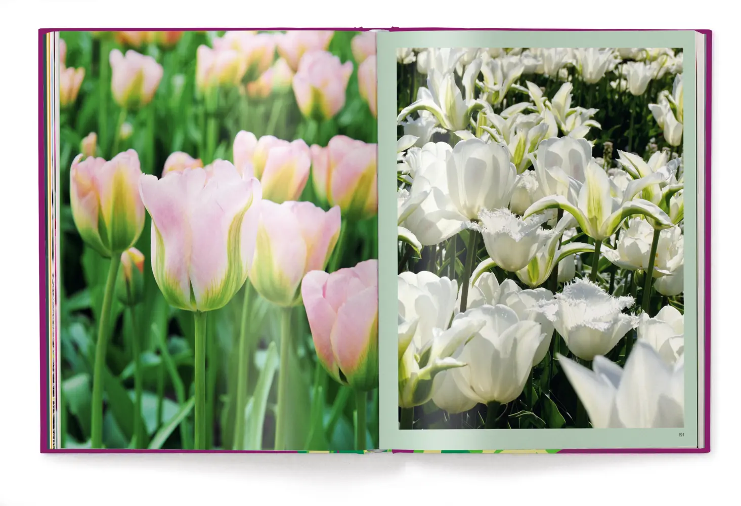 Bild: 9783961715510 | Floramour: Tulips | Karin Greiner (u. a.) | Buch | 208 S. | Deutsch