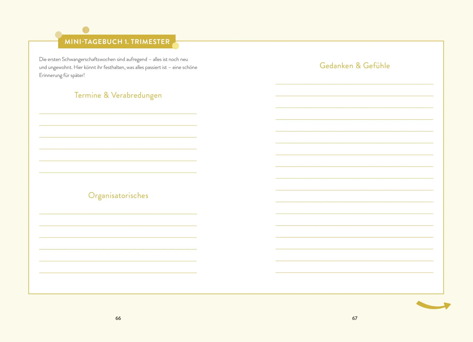 Bild: 9783965845510 | Tatsächlich schwanger | Alles, was ihr jetzt wissen müsst | Sousa | ZS