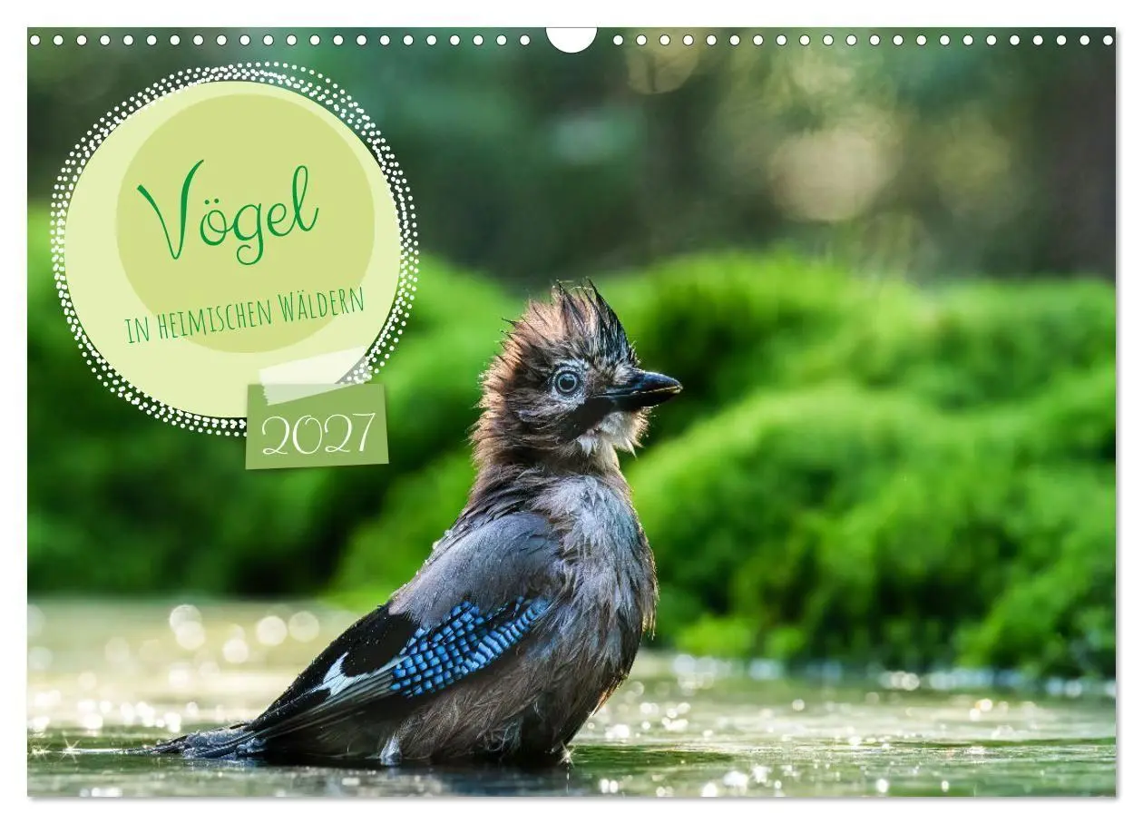 Cover: 9783569205710 | Vögel in heimischen Wäldern (Wandkalender 2027 DIN A3 quer),...