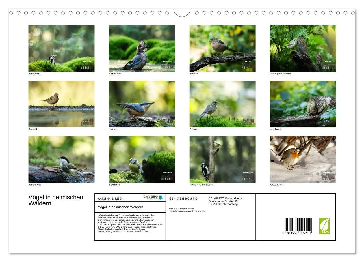 Bild: 9783569205710 | Vögel in heimischen Wäldern (Wandkalender 2027 DIN A3 quer),...