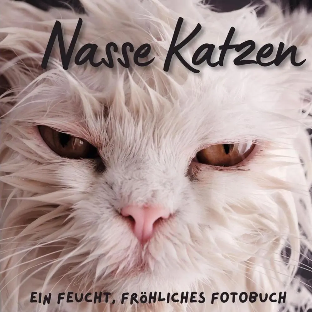 Cover: 9783750515710 | Nasse Katzen | Ein feucht, fröhliches Fotobuch | Bibi Hübsch | Buch