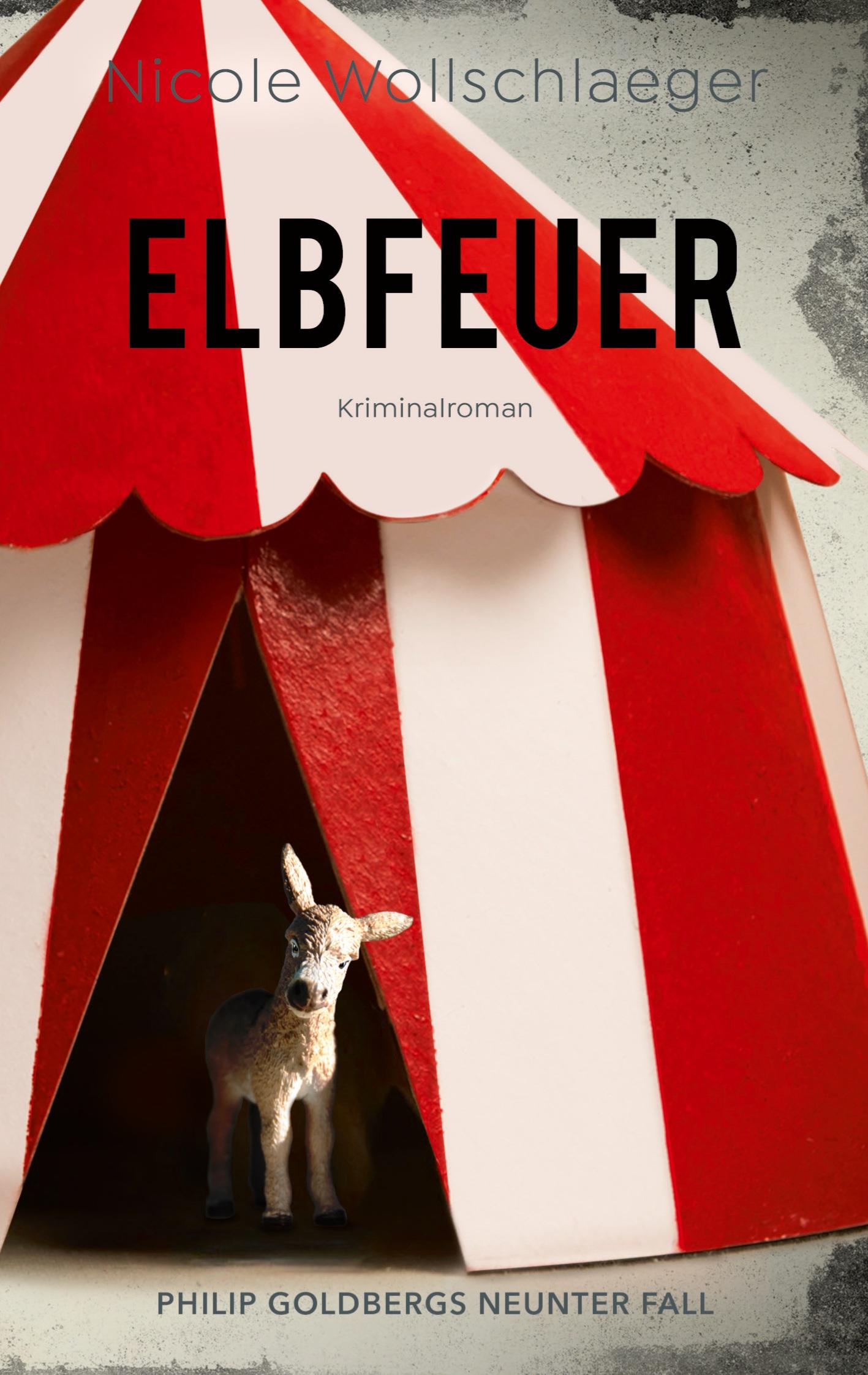 Cover: 9783769355710 | Elbfeuer | Nicole Wollschlaeger | Taschenbuch | 284 S. | Deutsch
