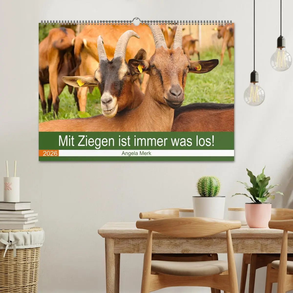 Bild: 9783457635810 | Mit Ziegen ist immer was los! (Wandkalender 2026 DIN A2 quer),...