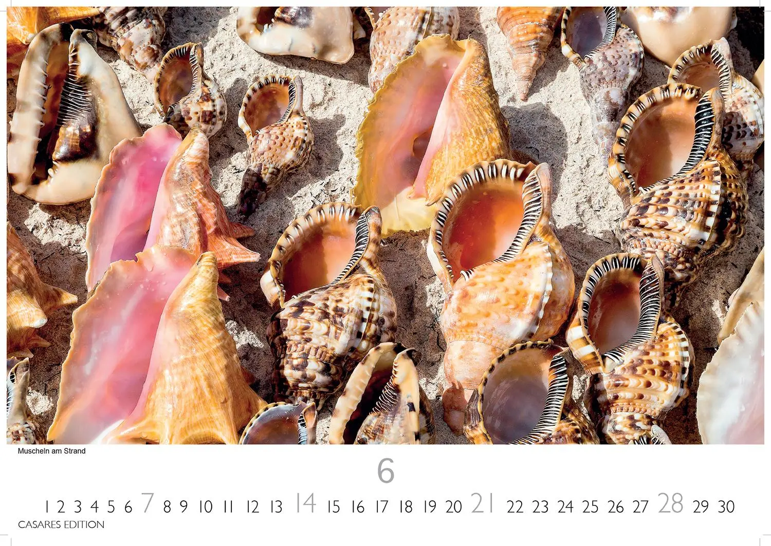Bild: 9781835245910 | Kalender Dominikanische Republik 2026 24x35cm - Bildkalender mit...