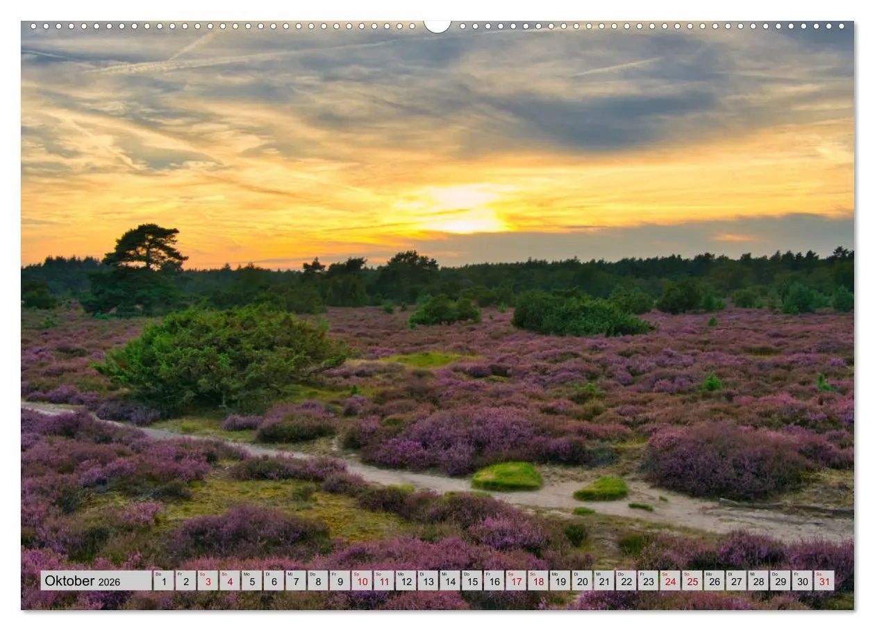Bild: 9783457865910 | Streifzüge durch den Norden der Niederlande (Wandkalender 2026 DIN...