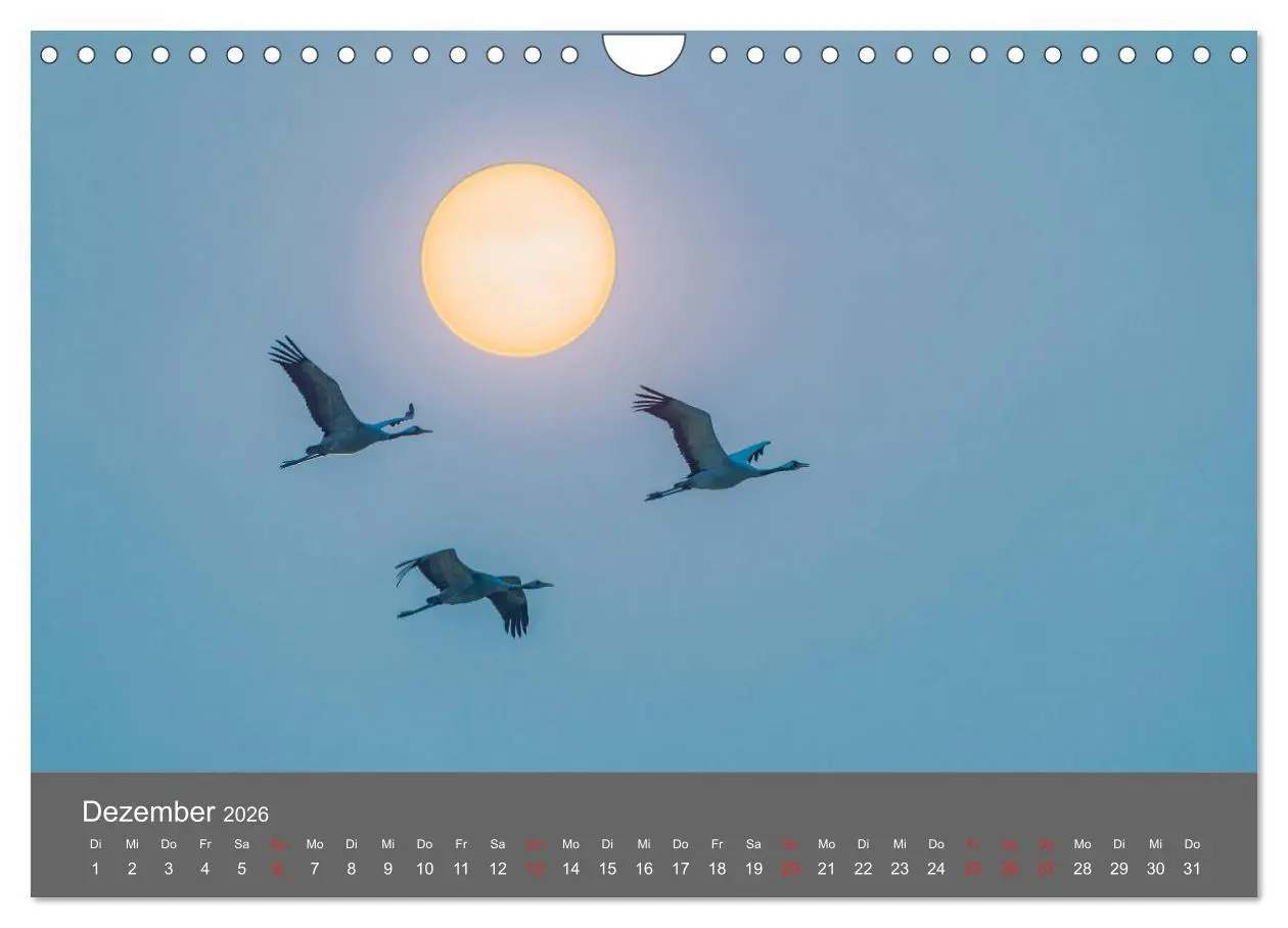 Bild: 9783457935910 | Schönes Meck-Pomm (Wandkalender 2026 DIN A4 quer), CALVENDO...