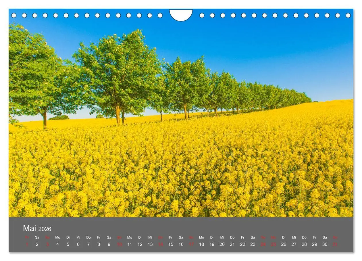 Bild: 9783457935910 | Schönes Meck-Pomm (Wandkalender 2026 DIN A4 quer), CALVENDO...