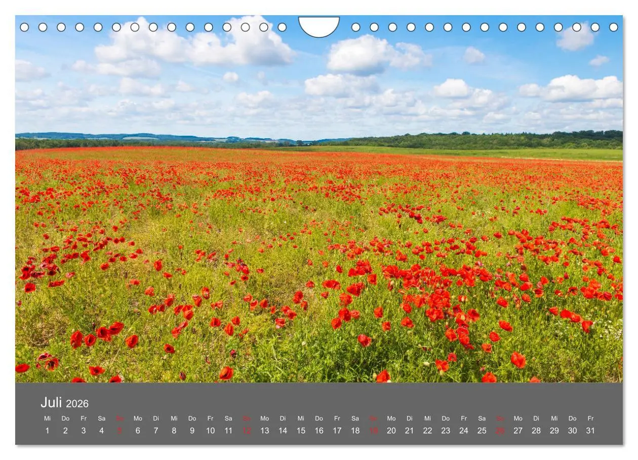 Bild: 9783457935910 | Schönes Meck-Pomm (Wandkalender 2026 DIN A4 quer), CALVENDO...