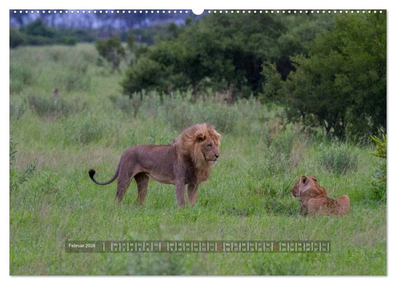 Bild: 9783516195910 | Abenteuer Botswana Afrika - Adventure Botswana (hochwertiger...