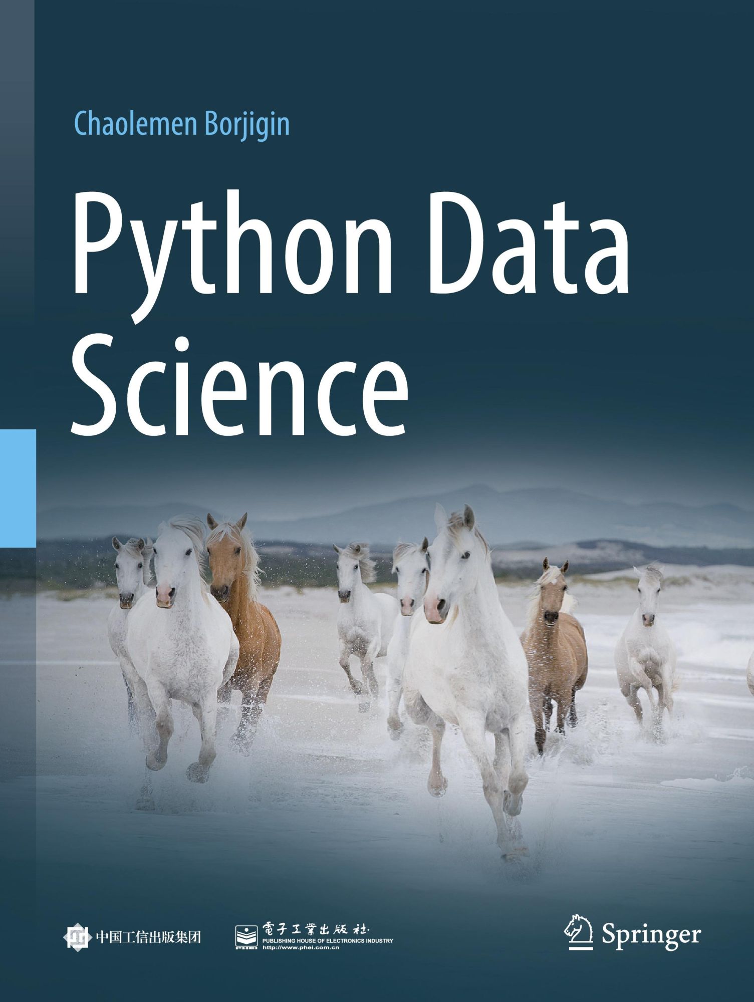 Cover: 9789811995910 | Python Data Science | Chaolemen Borjigin | Taschenbuch | xii | 2024