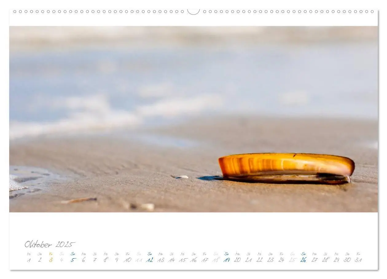 Bild: 9783435666010 | Am Meer (Wandkalender 2025 DIN A2 quer), CALVENDO Monatskalender