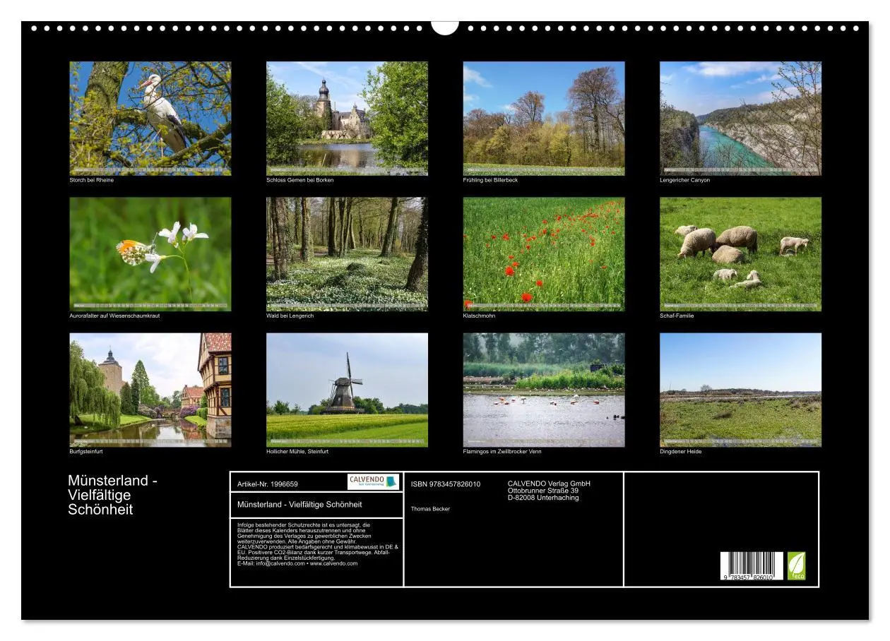 Bild: 9783457826010 | Münsterland - Vielfältige Schönheit (Wandkalender 2026 DIN A2...