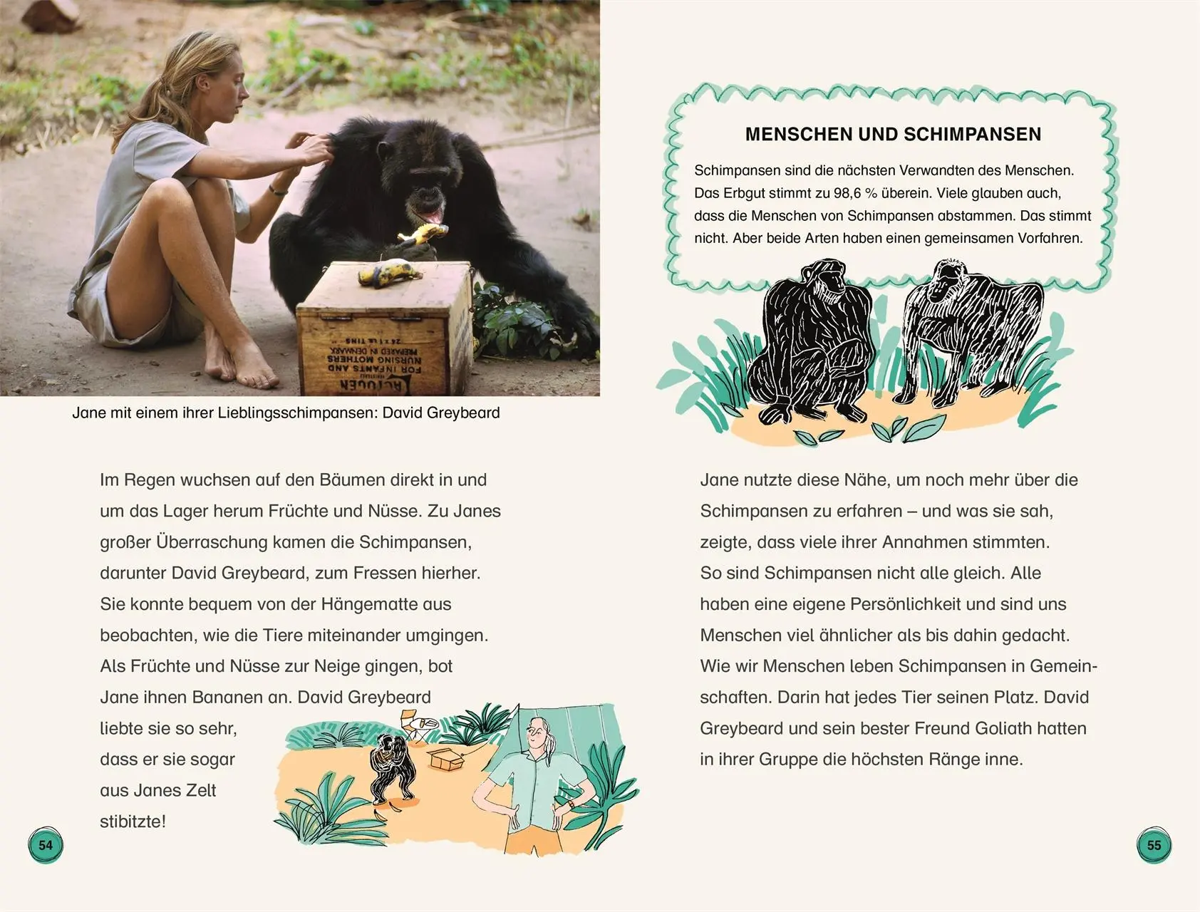 Bild: 9783831046010 | SUPERLESER! Jane Goodall. Ein Leben mit den Schimpansen | Libby Romero