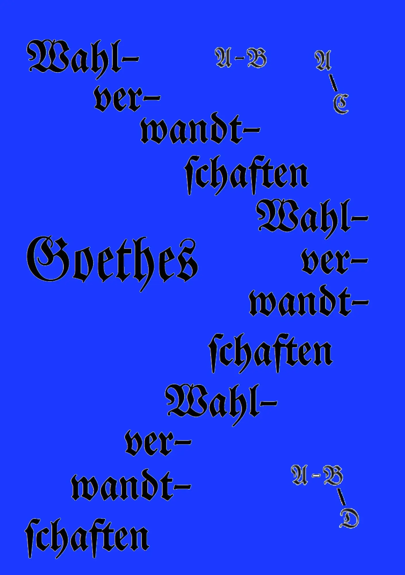 Cover: 9783741256110 | Die Wahlverwandtschaften | Johann Wolfgang von Goethe | Taschenbuch
