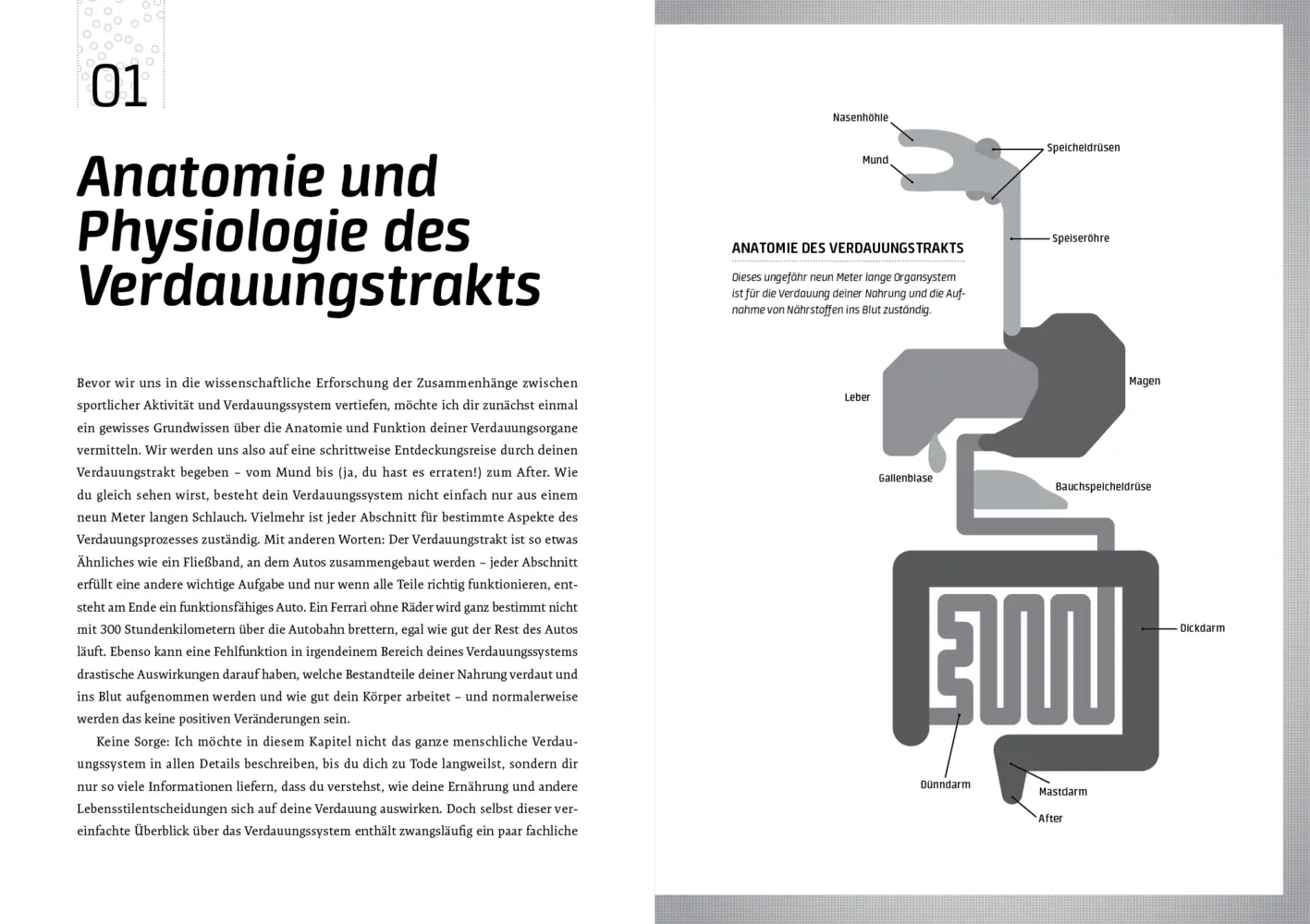 Bild: 9783742316110 | Der Darm trainiert mit | Patrick Wilson | Taschenbuch | 336 S. | 2021