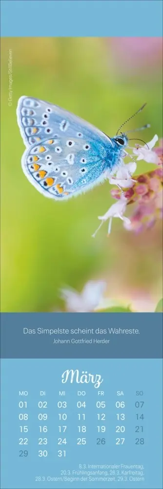 Bild: 9783756416110 | Achtsamkeit Lesezeichen &amp; Kalender 2027 | Kalender | Geblockt | 13 S.