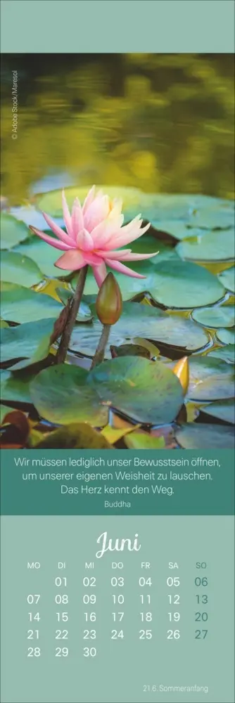 Bild: 9783756416110 | Achtsamkeit Lesezeichen &amp; Kalender 2027 | Kalender | Geblockt | 13 S.