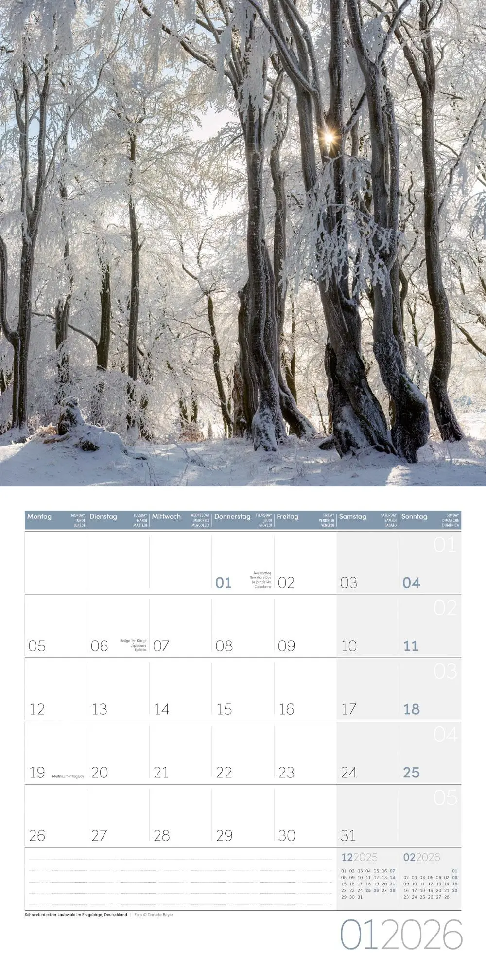 Bild: 9783838446110 | Zauber des Waldes Broschürenkalender 2026 - 30x30 - Art12 | GmbH